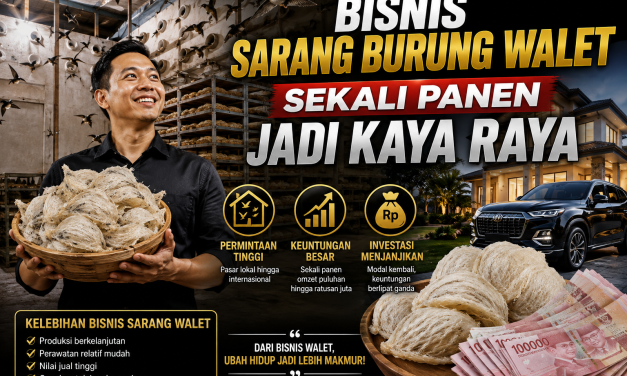 Bisnis Sarang Burung Walet Sekali Panen Jadi Kaya Raya